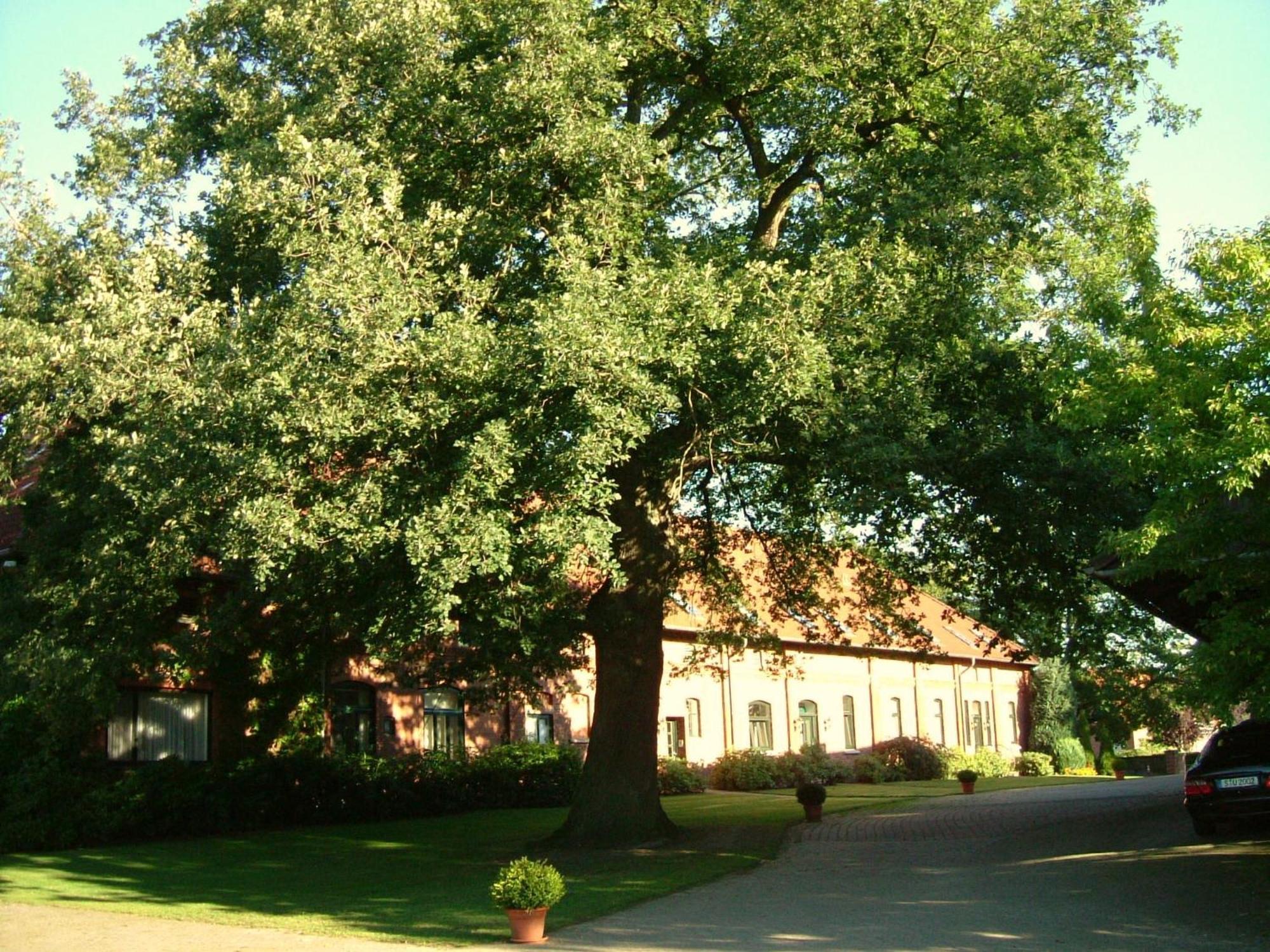 Gaestehaus Schlossgarten Etelsen Zewnętrze zdjęcie